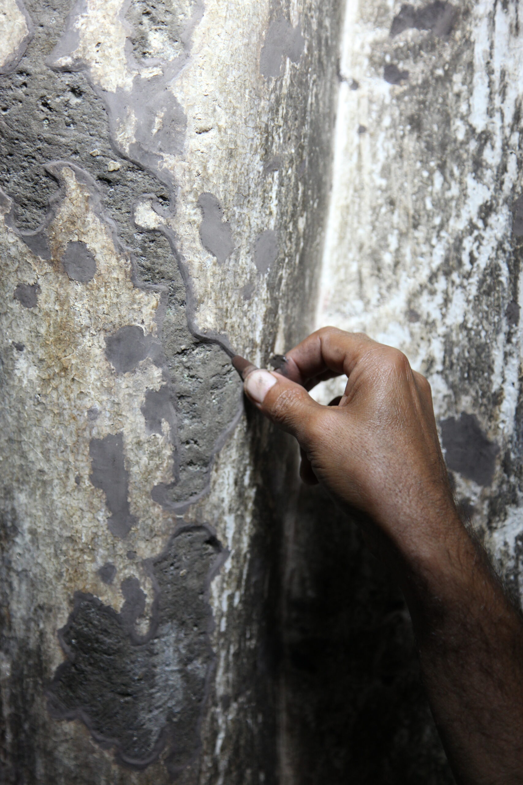 20091231-Satyendra-Pakhale-visit-at-Ajanta-01
