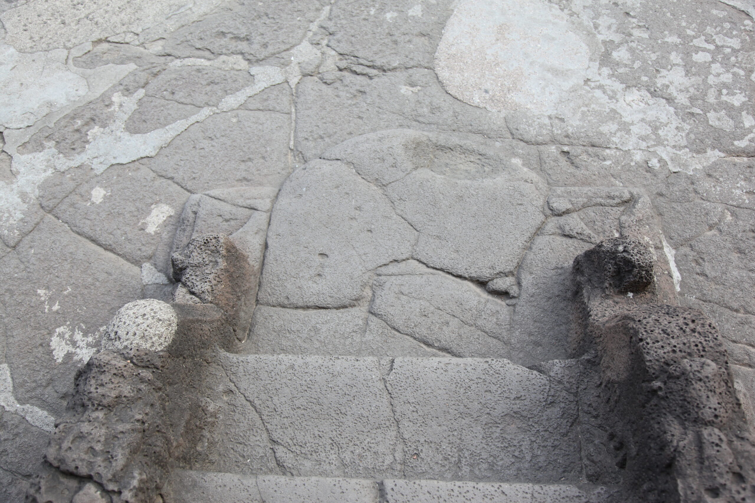 20091231-Satyendra-Pakhale-visit-at-Ajanta-06