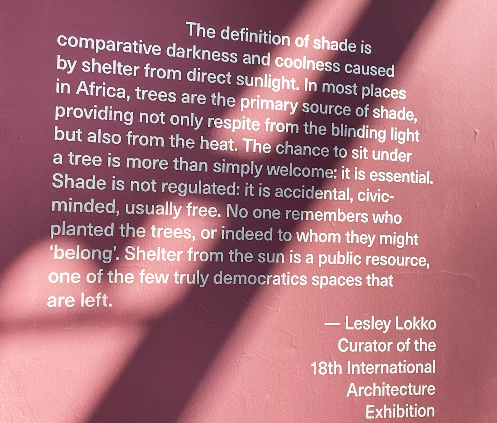 20231123-26-Satyendra-Pakhale-visited-Venice-Arch-Biennale-Africa-Focus-01