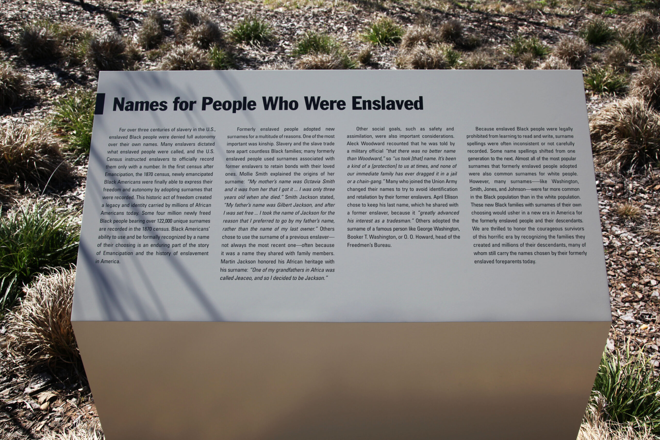 20250221-Satyendra-Pakhale-visited-Sculptural-Park-Montgomery-AL-USA-06