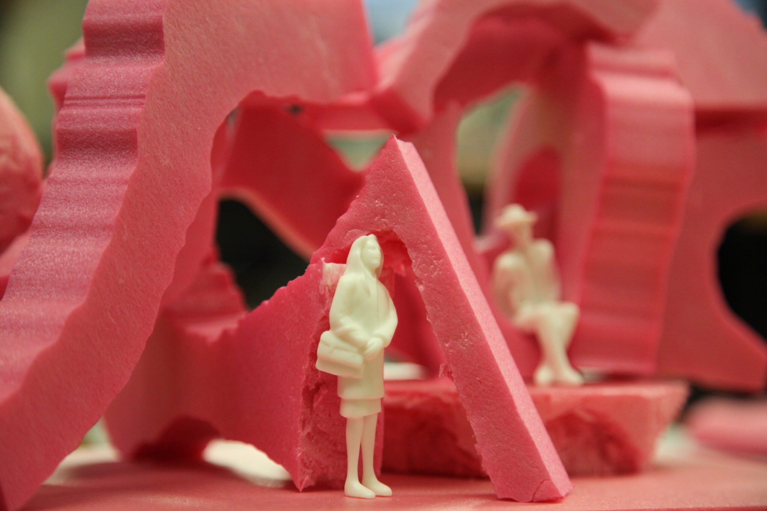 20250304-Satyendra-Pakhale-Tiziana-Proietti-Shifting-Scale-sensing-Spaces-Workshop-University-of-Oklahoma-USA-06